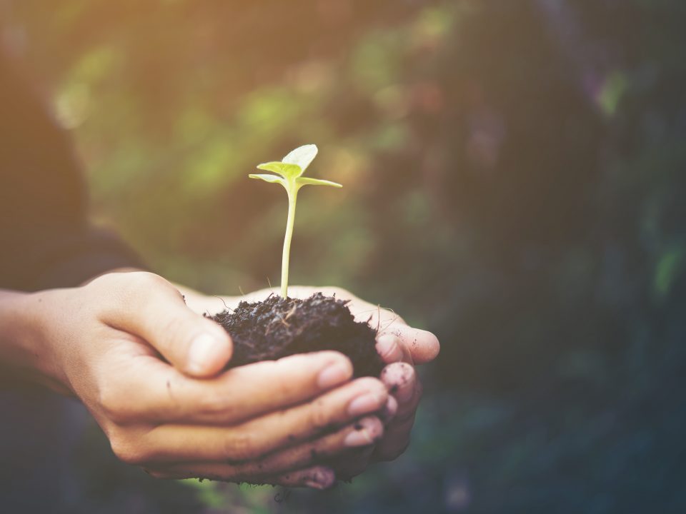 Atlantic Fertilisers | Growth you can measure